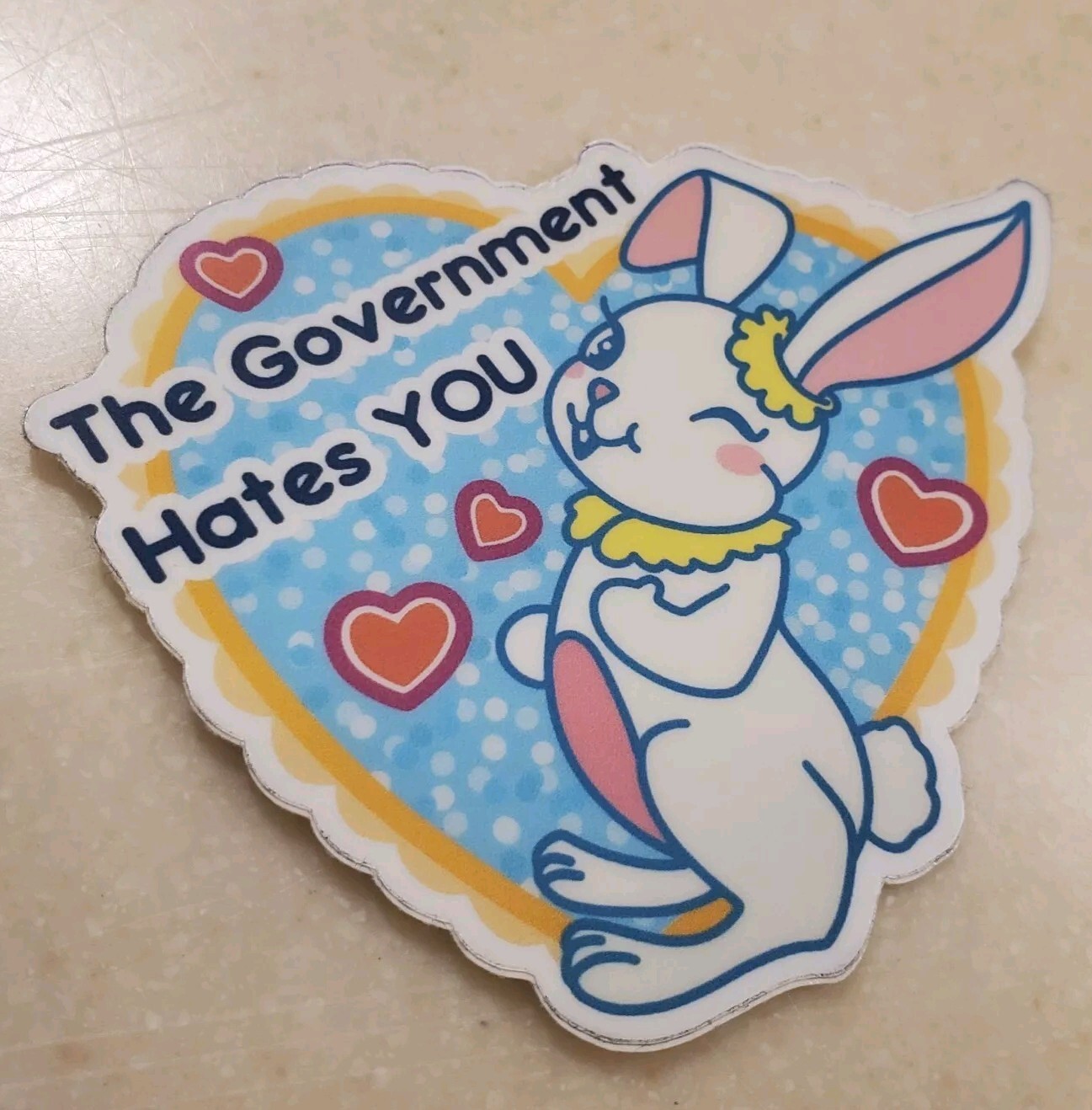 FEMA SUCKS GOVERNMENT SUCKS STICKERS *WORLDWIDE 🌐 SHIPPING* 5 YEAR WARRANTY