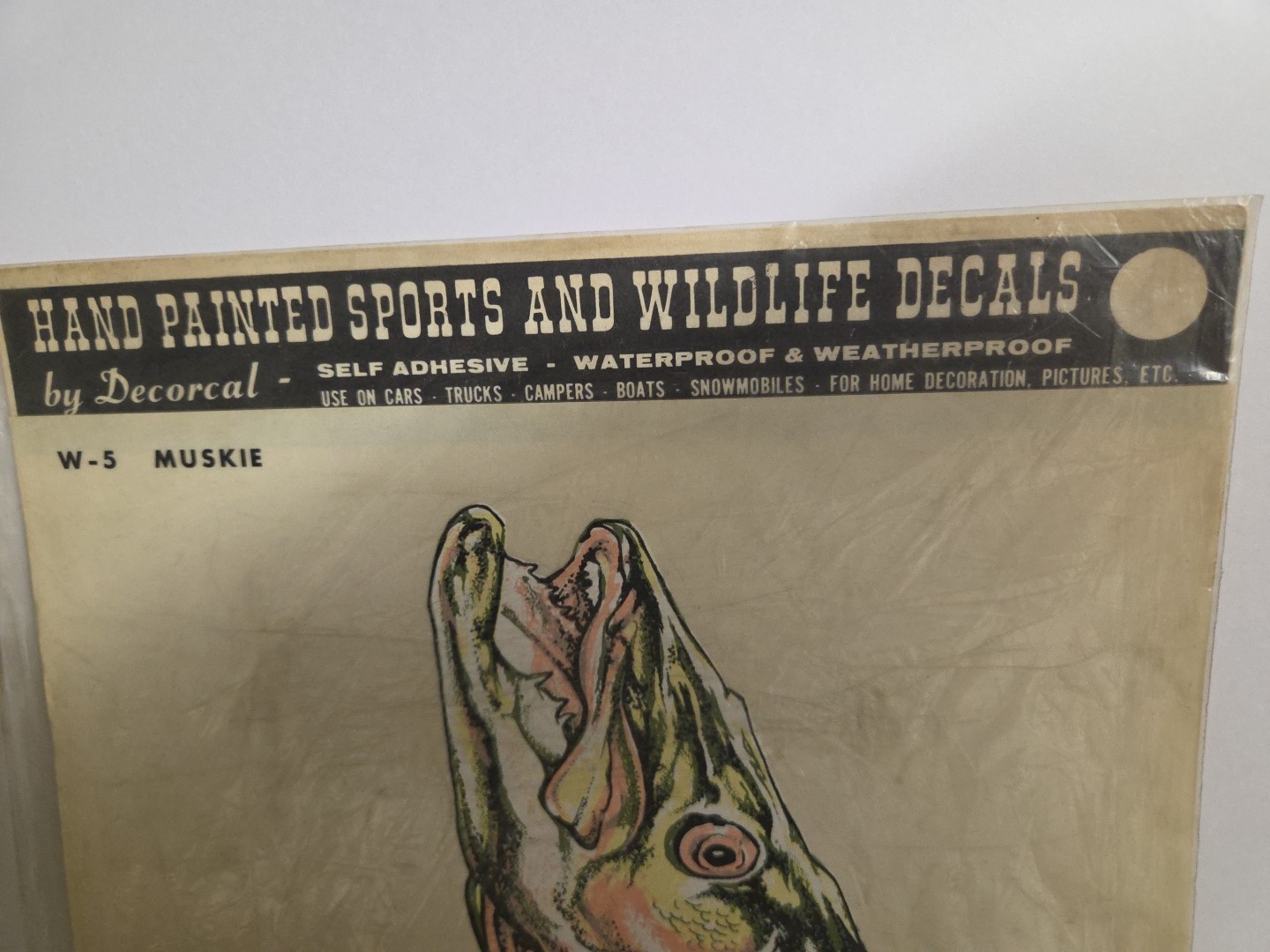 Vintage 1970's NOS Hand Painted Sports And Wildlife Decals W-5 MUSKIE 10×17