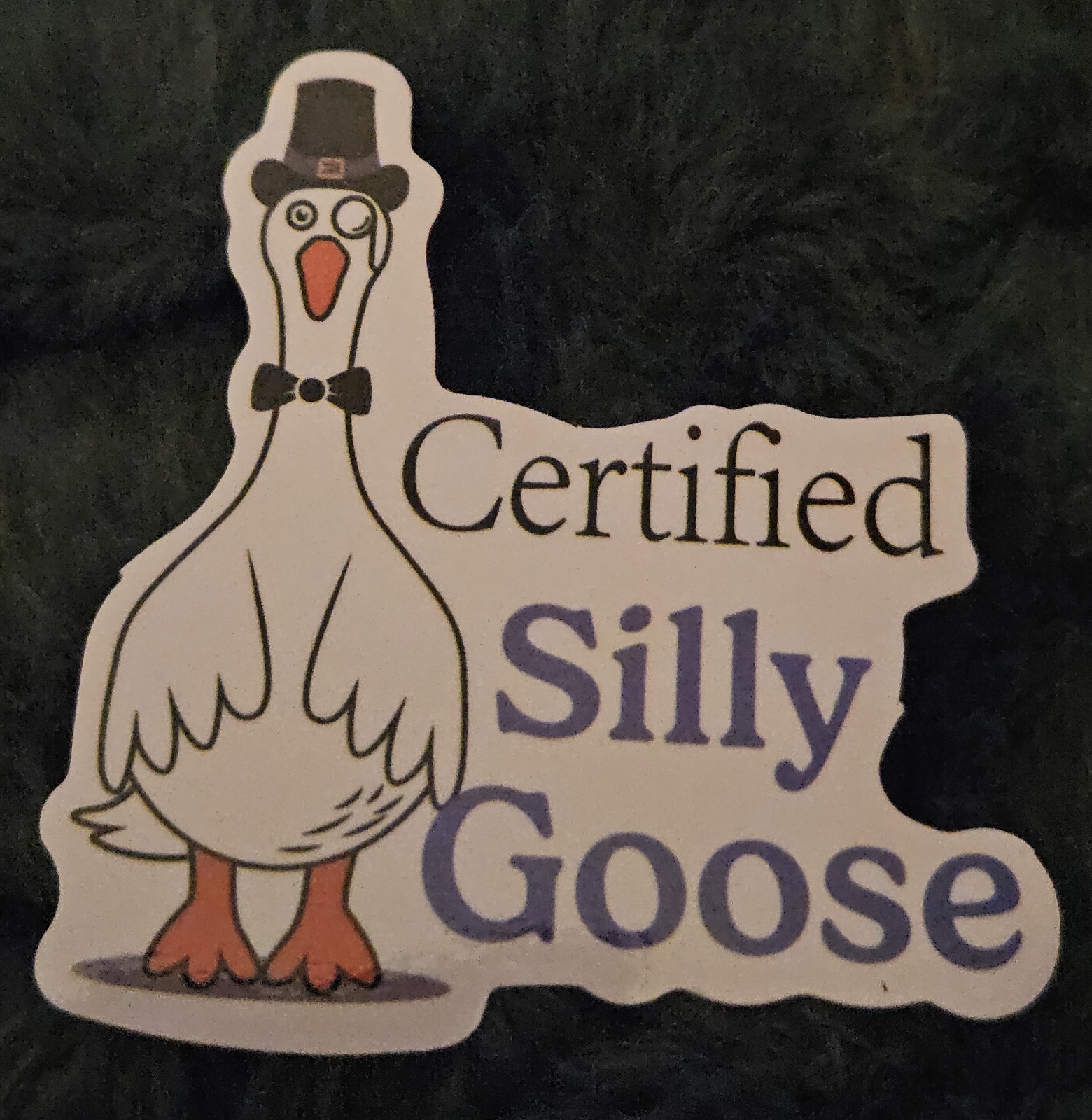 Certified Silly Goose Stickers Funny Decals Gag Gift Jam Band Slaps 4 Set NEW!🪿