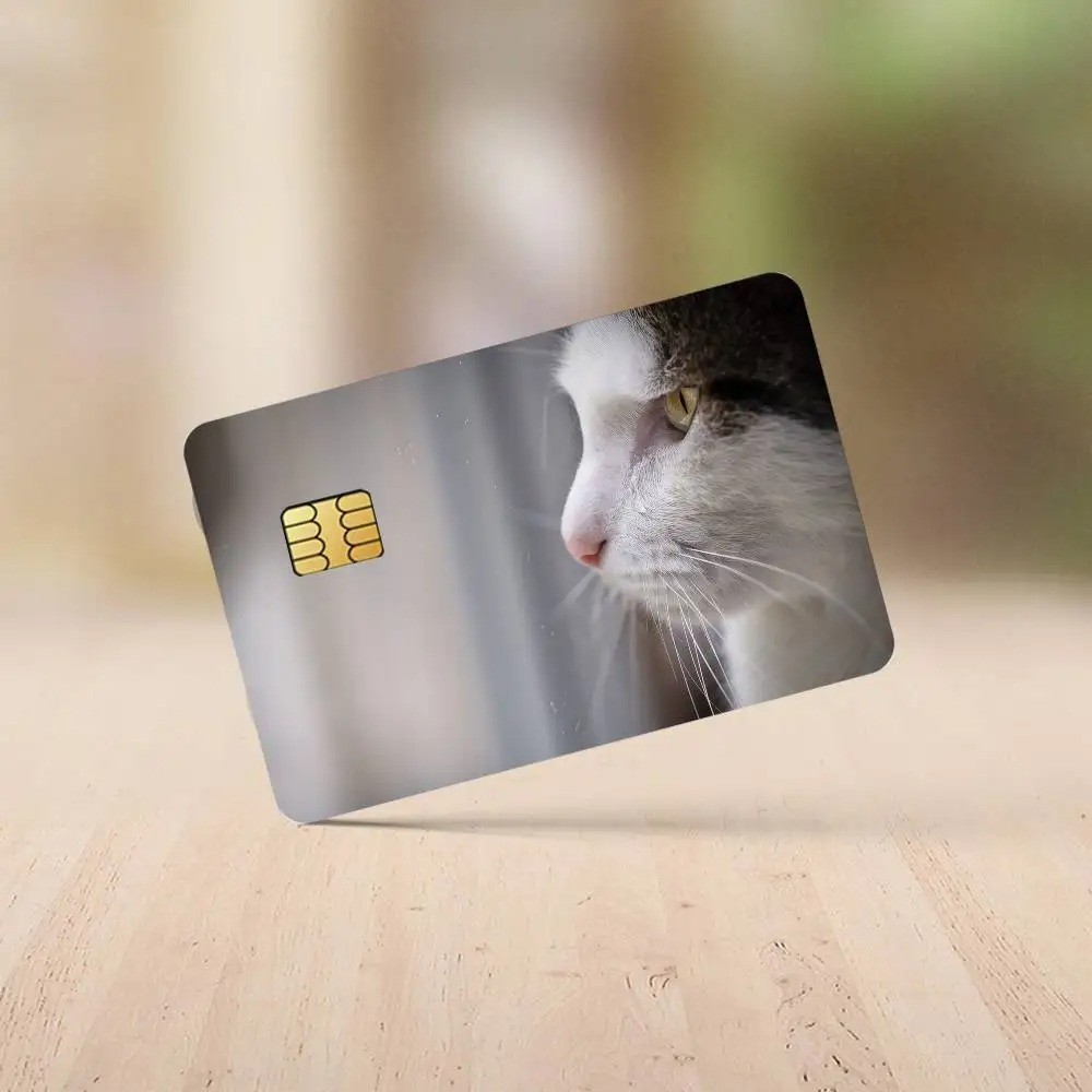 Credit card Skin Crying cat funny | meme Debit card skins | Custom Card Sticker