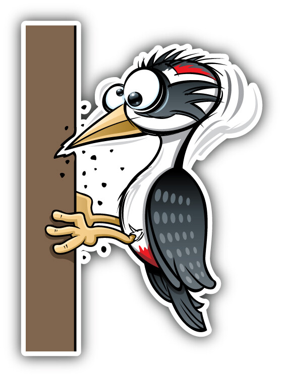 Cartoon Woodpecker Car Bumper Sticker Decal