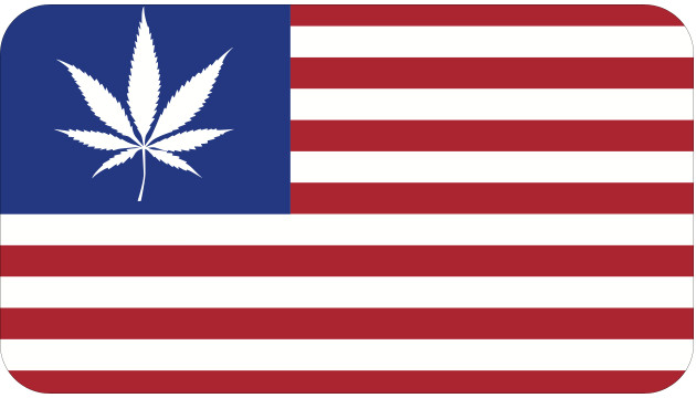 United States Flag with marijuana leaf vinyl sticker decal – many sizes