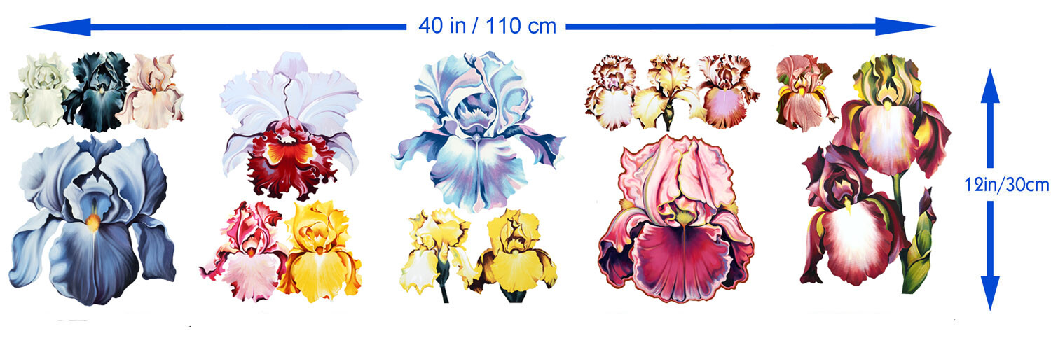 Vinyl Wall Stickers/VINTAGE COLORFUL IRIS FLOWERS/Waterproof, Outdoor, Wall-Safe