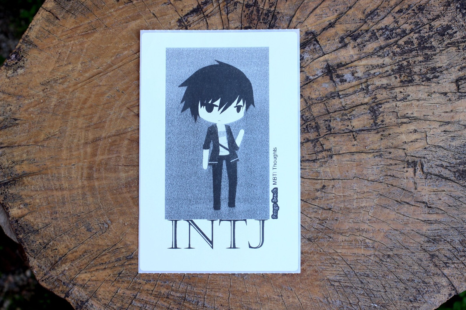 INTJ Boy B/W 4"x6" Thermal Sticker – Kawaii Anime Chibi – MBTI – Pongo Beach