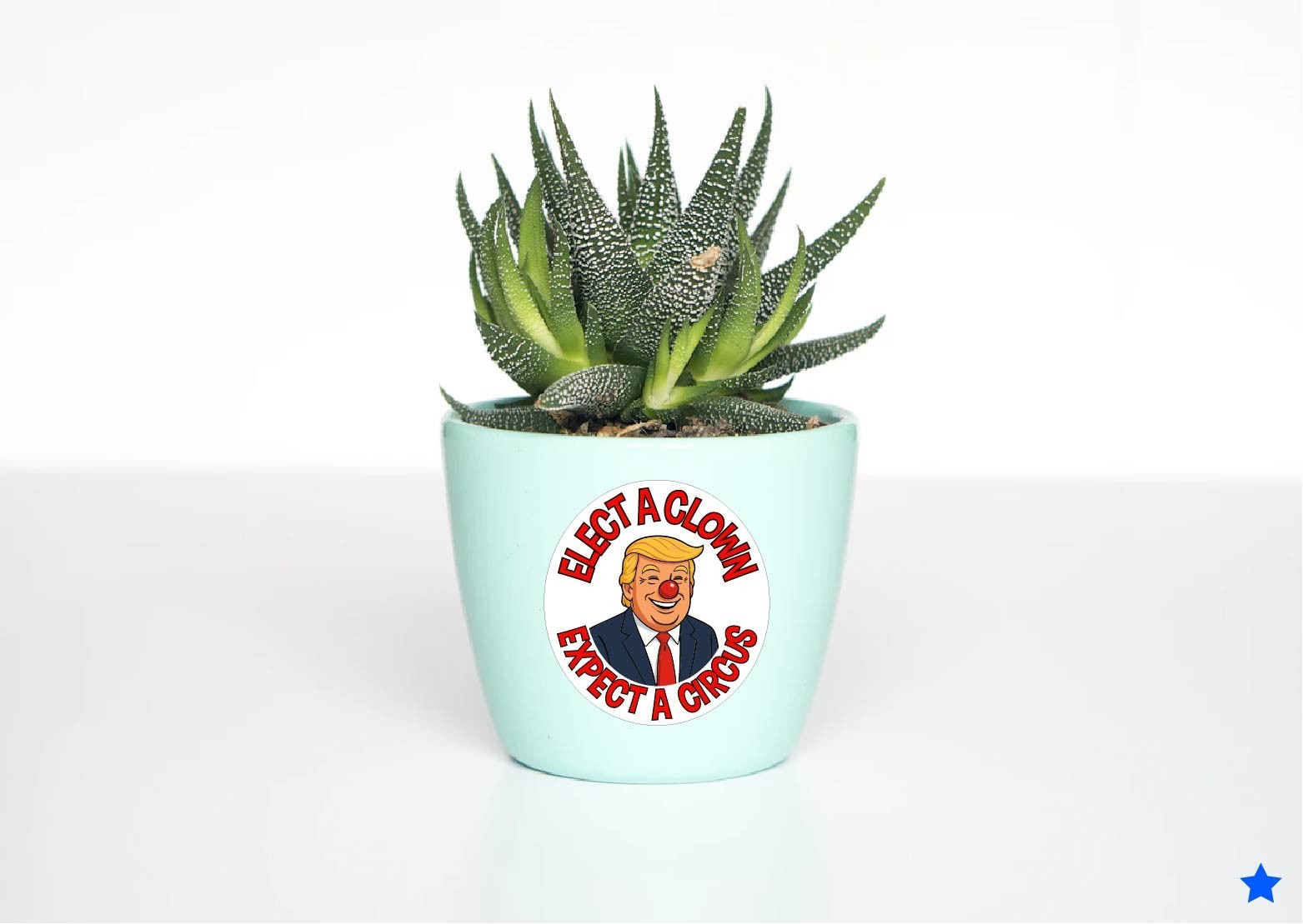 Anti Trump Elect a Clown Expect Circus Decal Sticker Nose MAGA Political Newsom