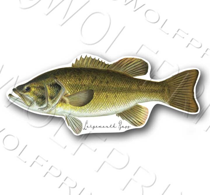 Northern Pike Fish Sticker 6" or 11" Wide Walleye Bass Boat Car Window Decal