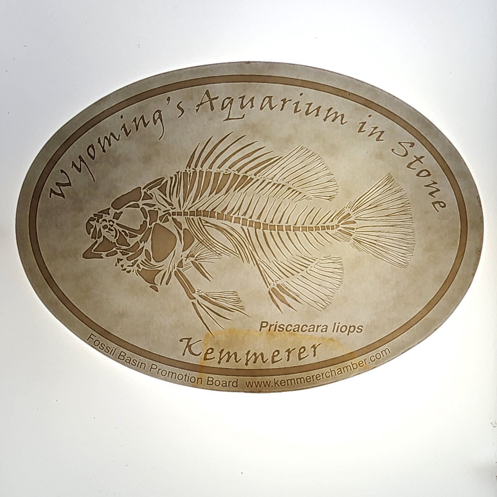 Fossil Butte National Monument WY An Aquarium in Stone Kemmerer Decals CLEAR/WHT
