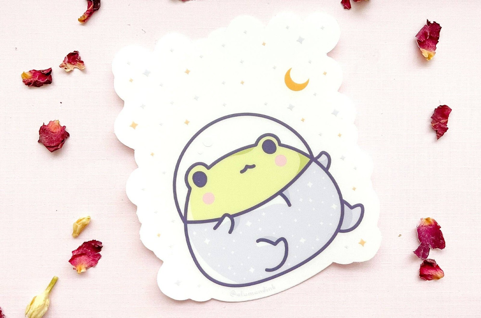Gogo the Frog in Space Sticker – Clear Vinyl