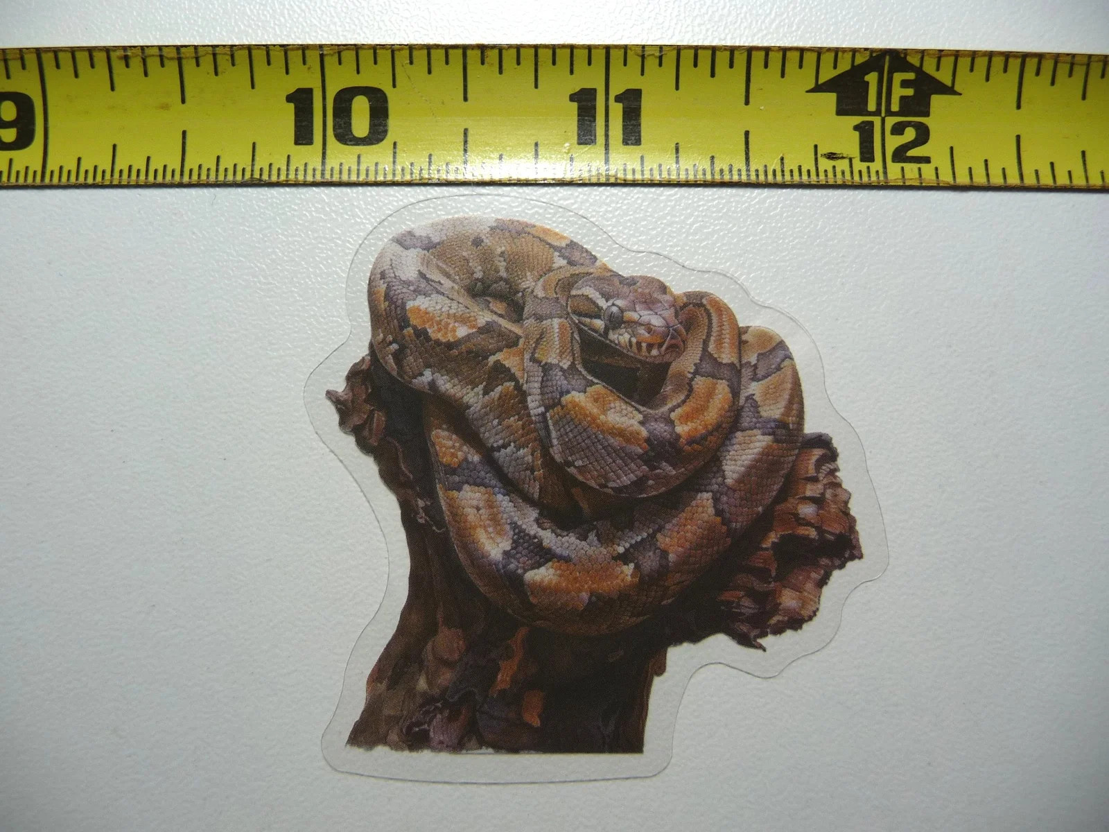 BOA CONSTRICTOR SNAKE PET SMALL STICKER DECAL WILDLIFE COLORFUL ZOO