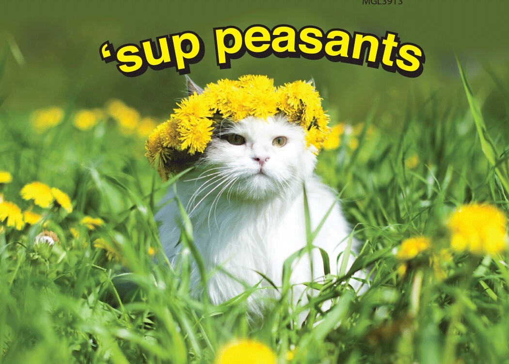 'SUP PEASANTS Funny Cat Kitchen Fridge Car Home Magnet – 3.5" x 2.5" Made in USA