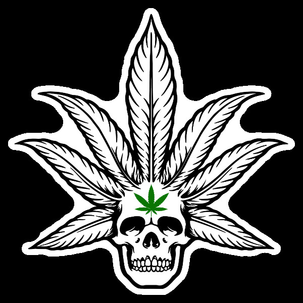 Weed Smoking Pot Leaf Skull Vinyl Decal Marijuana Sticker 420 Smoke Cannabis