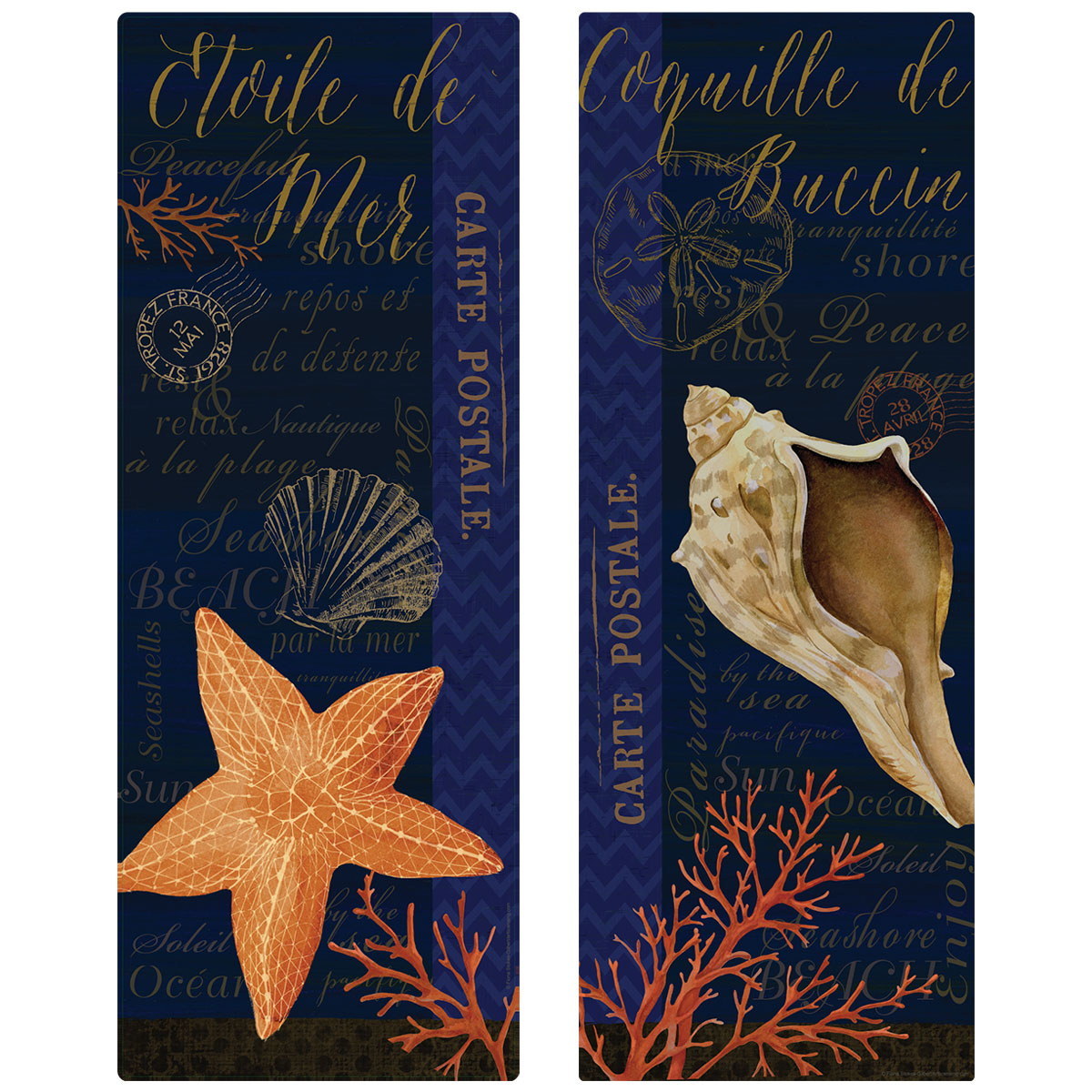 French Seashell Portraits Wall Decal Set Vintage Style Home Decor Bundle
