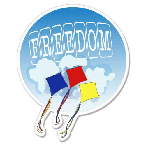 Freedom Blue Sky car bumper sticker decal 5" x 4"