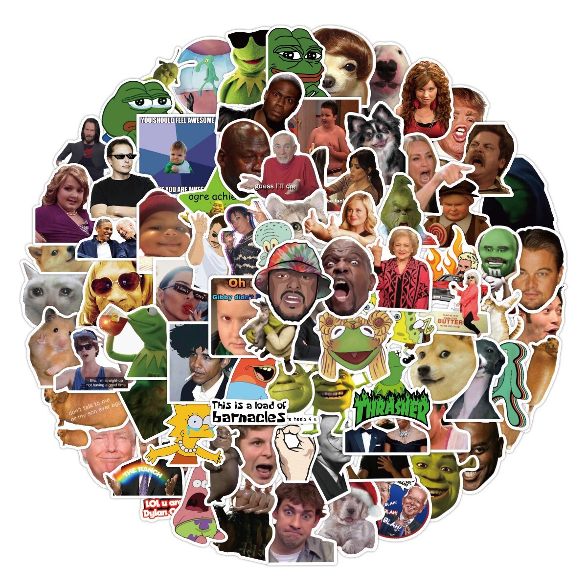 100Pcs Funny Meme Sticker for Adults Teens Girls Scrapbooking Water Bottles
