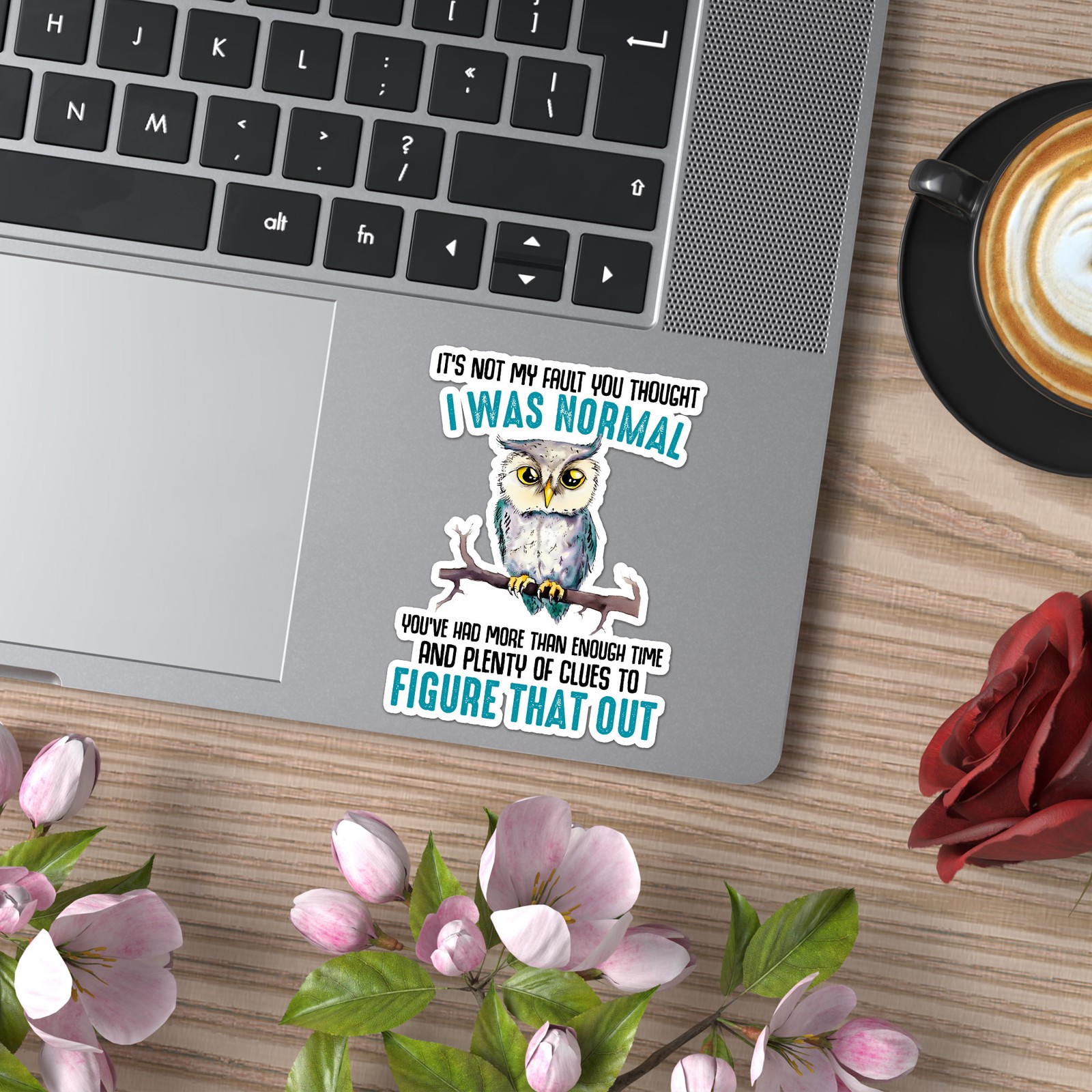 Thought I Was Normal – Vinyl Decal Sticker – Car Window Laptop – ebn9735