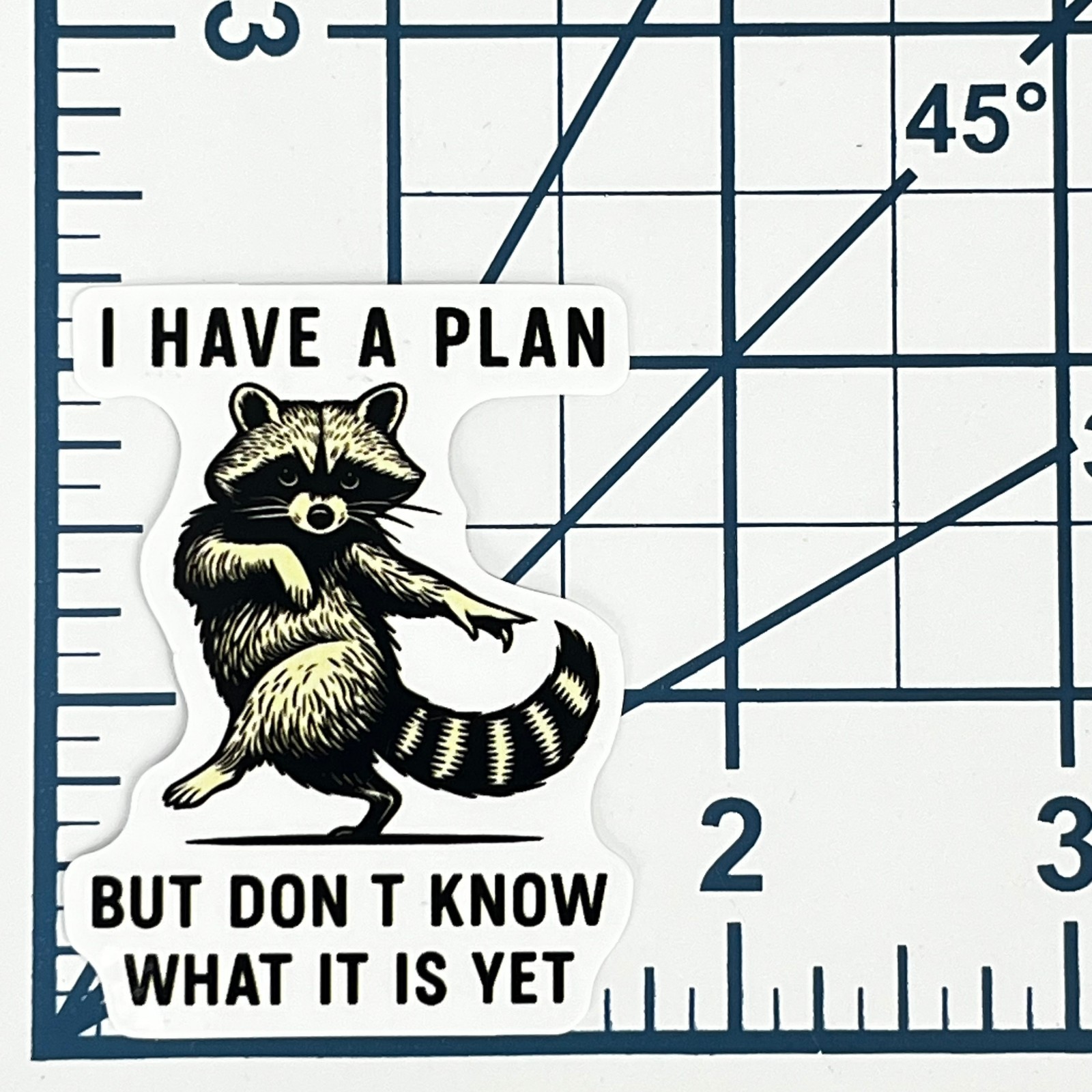 Raccoon I Have A Plan Vinyl Sticker Funny Trash Panda Sarcastic Humor Cute