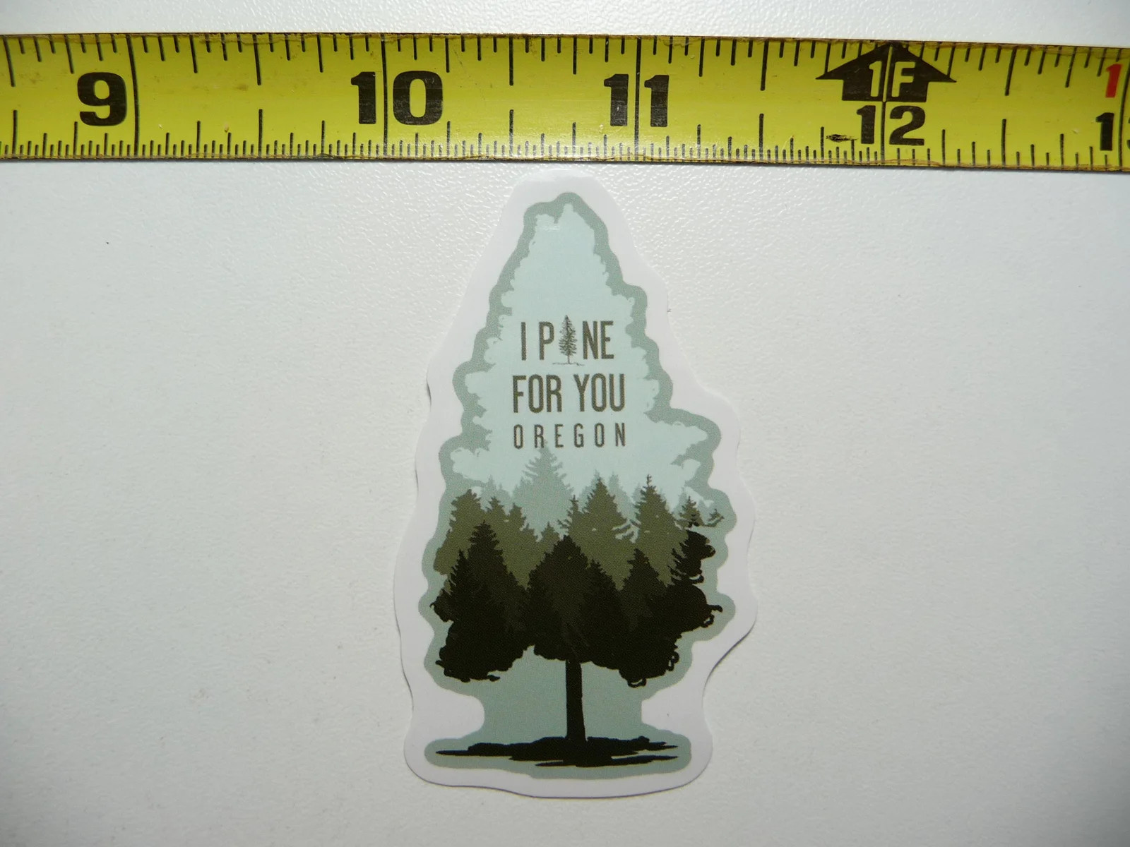 PINE FOR OREGON TREE SMALL STICKER DECAL PRIDE SOUVENIR TRAVEL MEMORIES