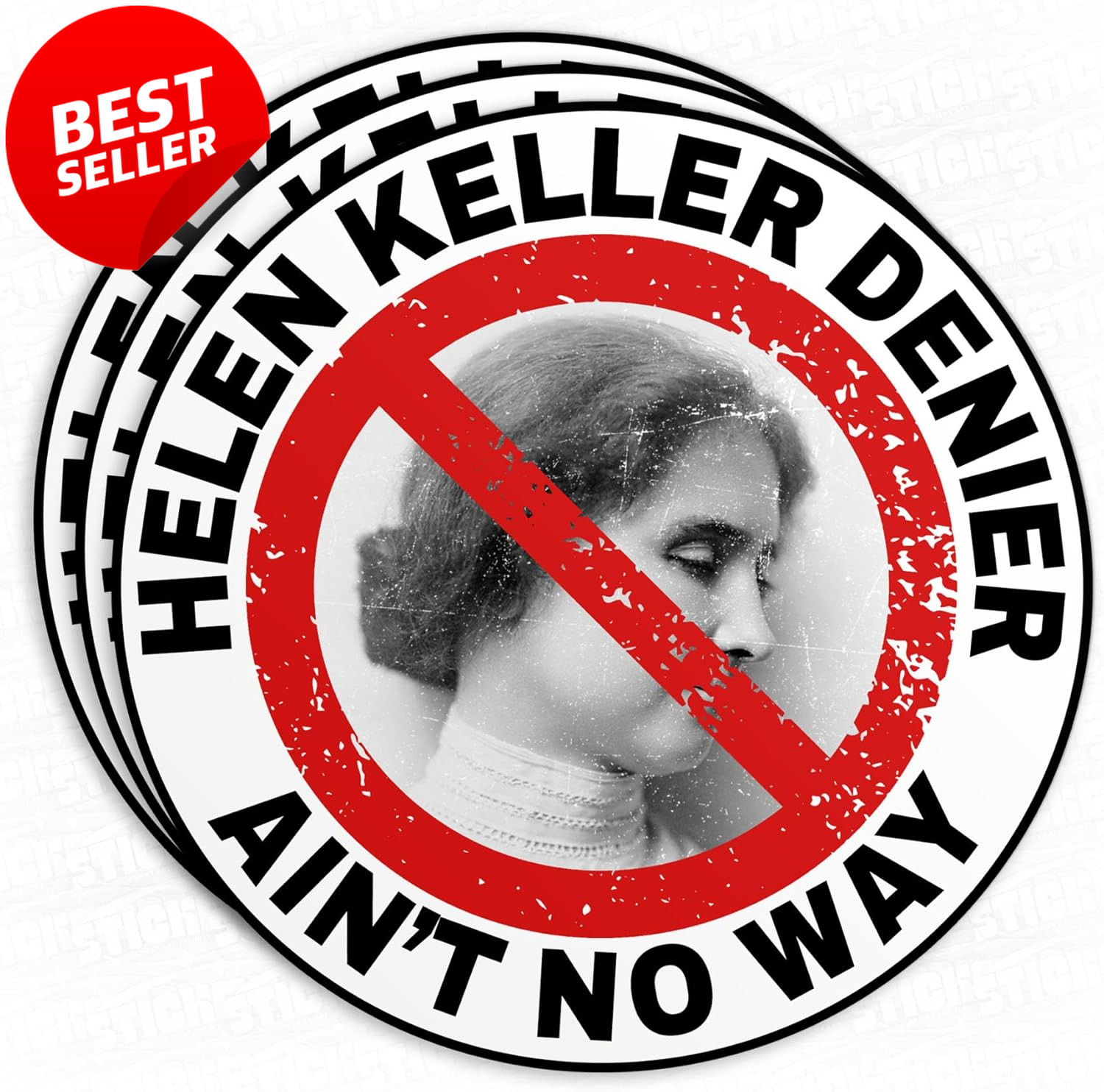 3Pc Helen Keller Denier Matte Stickers 3" Vinyl for Laptop Kindle Water – US