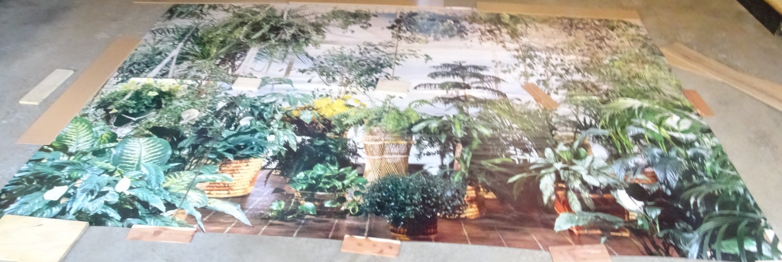 Full Wall Size Mural Tropical Plants Huge Window 8’ 8” x 12’ 6” NOS 108 Sq Ft A