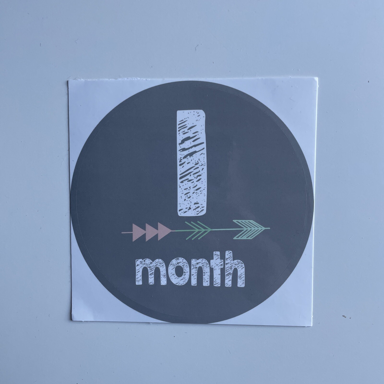 Monthly Baby Milestone Decal Stickers Set of 12 Gender Neutral Brand New