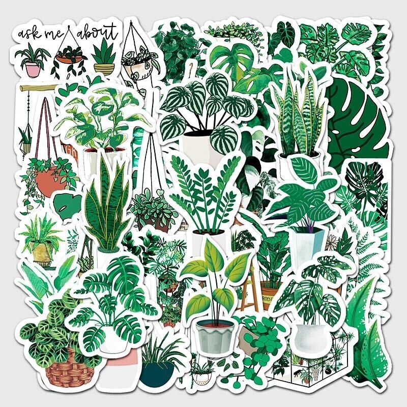 Plant VINYL Stickers [C] Potted HOUSEPLANTS House Succulent ~ Waterproof Decals