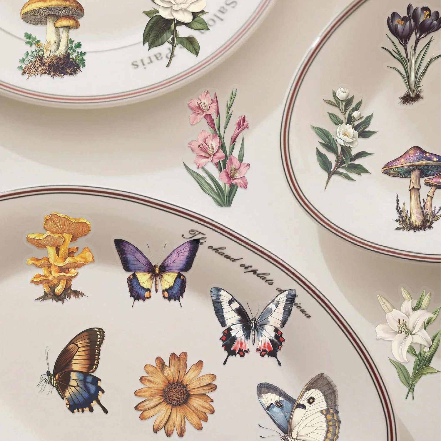 50 Pcs Colorful Butterfly Stickers, Aesthetic Retro Decals Transparent PET Wa…
