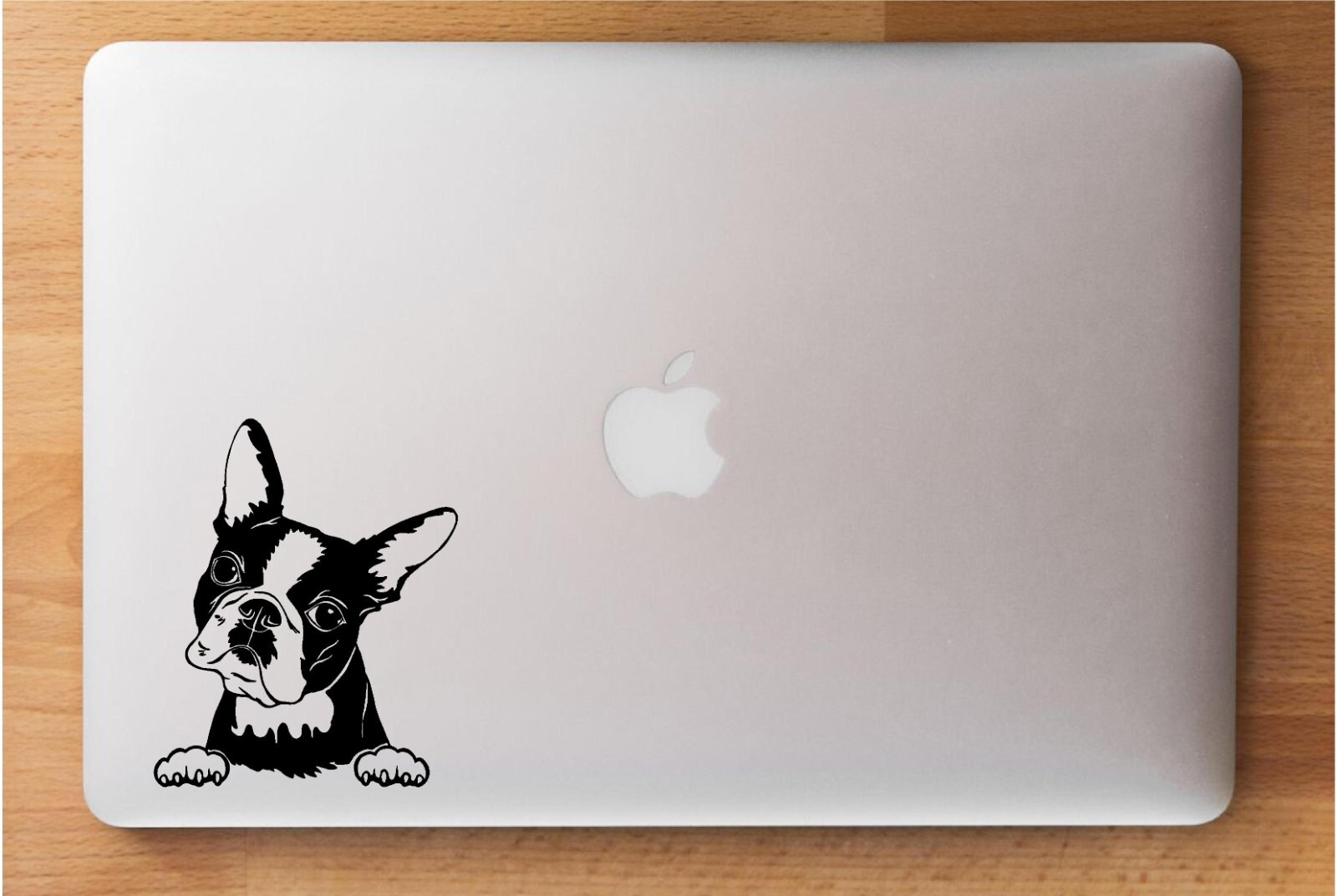 French Bulldog Decal Laptop Sticker Any Room or Office with Smooth Surface Cute