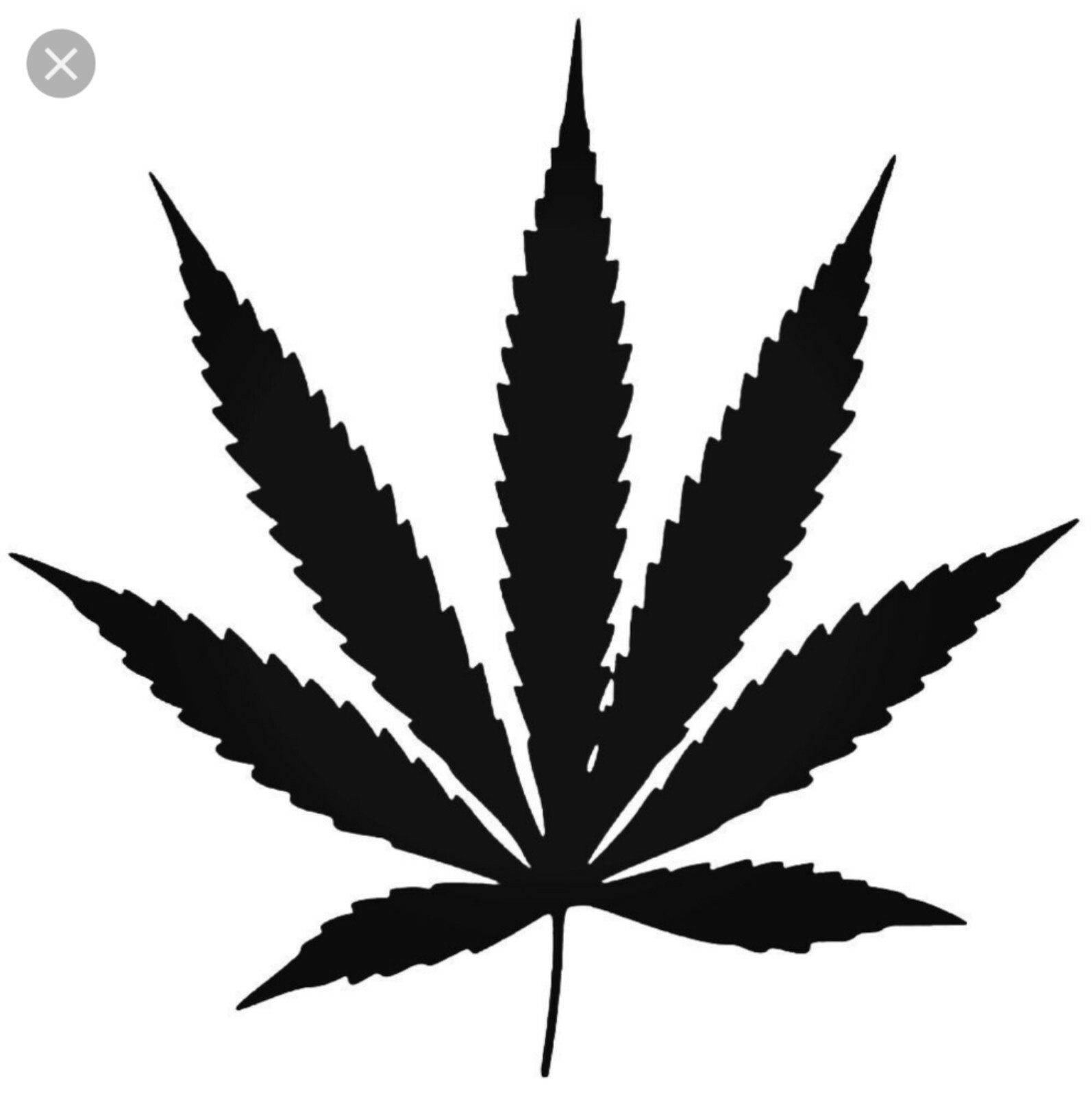 Pot Leaf Cannabis Vinyl Decal Sticker 420 Marijuana Weed 3"