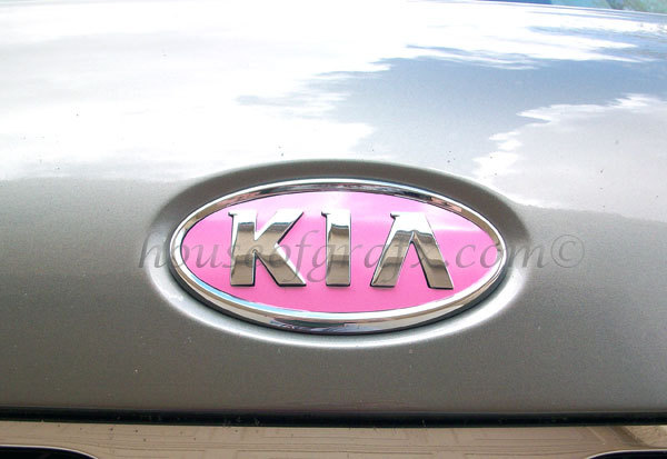 Front & rear emblem overlay graphic sticker decal decals ONLY fit 2012 Kia Soul