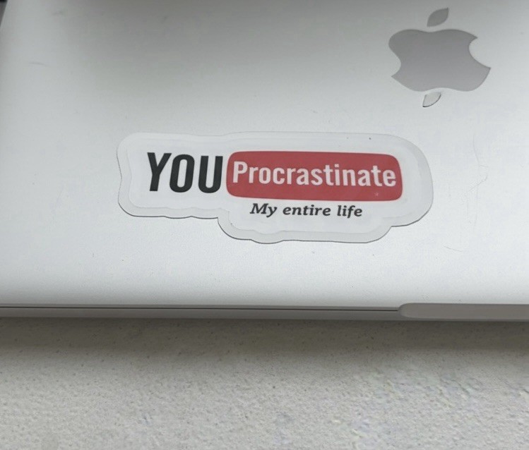 Funny Meme Sticker Pack | Waterproof Vinyl Stickers | Laminated Stickers
