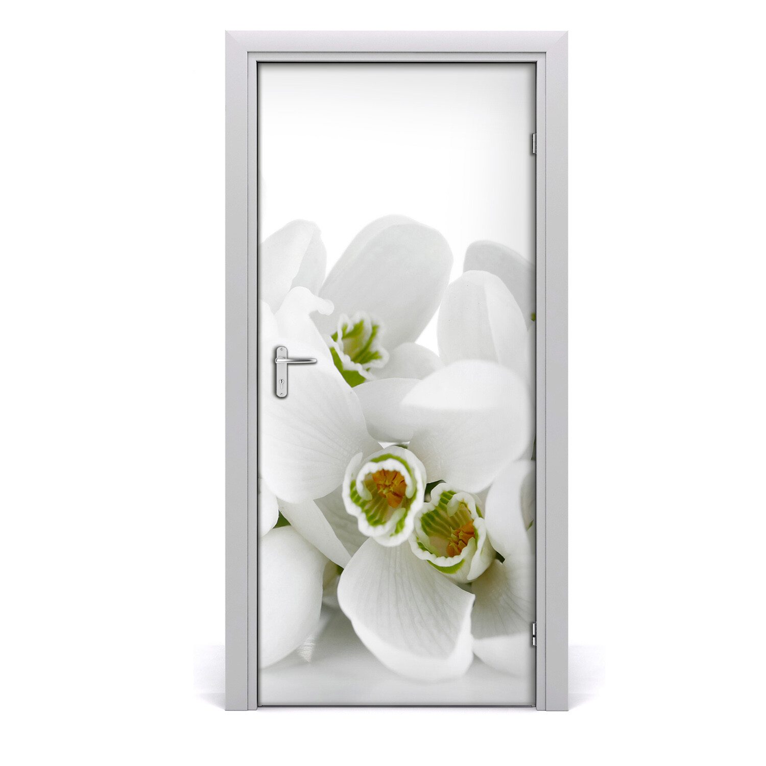 3D Home Art Door Wall Self Adhesive Removable Sticker Flowers White snowdrops