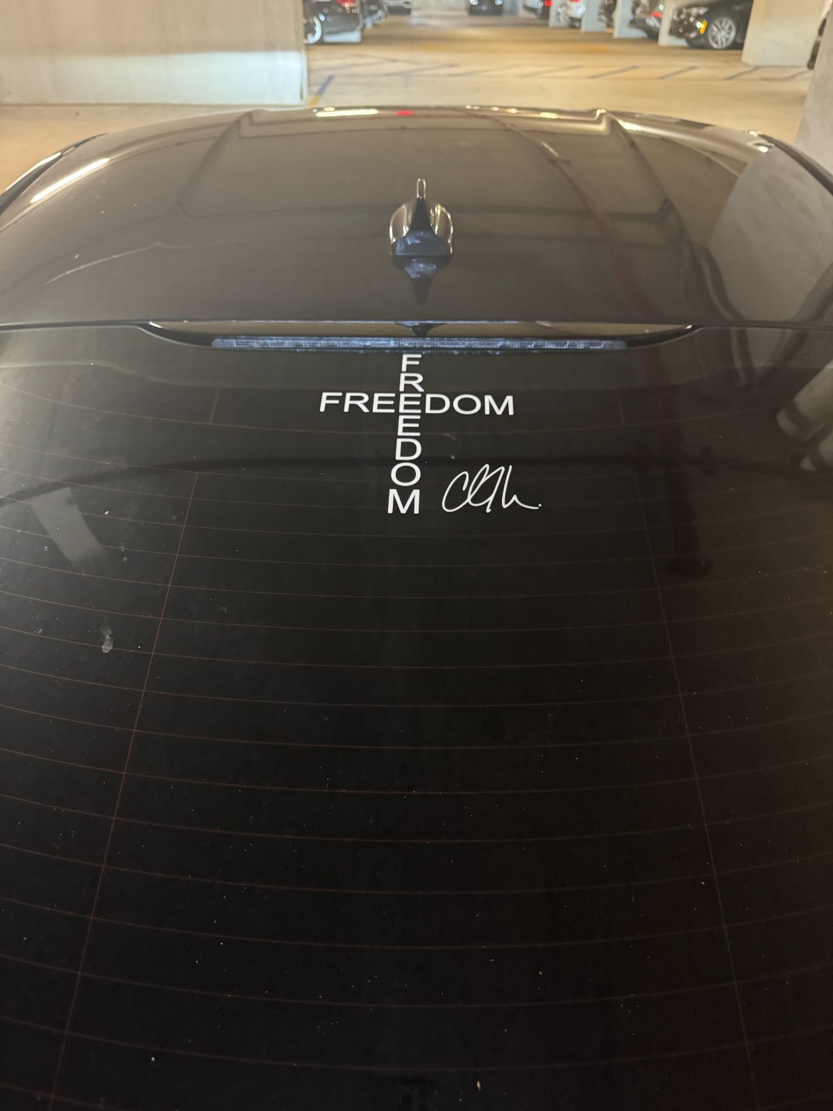 FREEDOM Decal / BEST PRICE / FREE SHIPPING / Color & Size Options