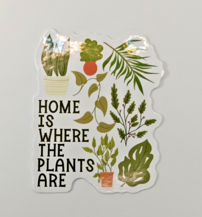Plants-Succulent-Funny-Home Is Where – Vinyl Sticker-Decal-NWOT-Free Shipping!