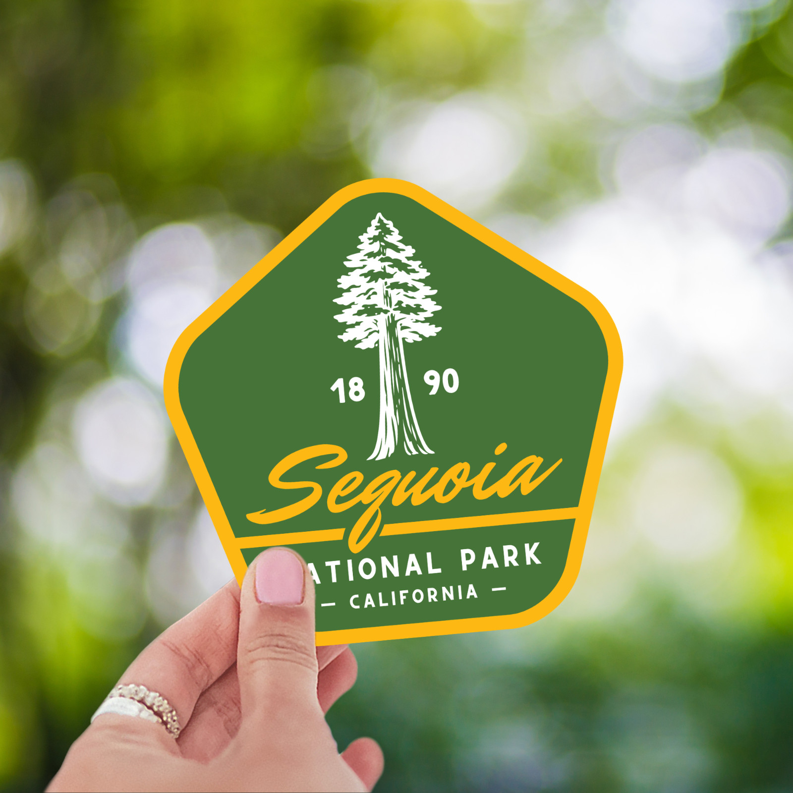 Sequoia National Park Sticker Retro California Tree Travel Vinyl Decal