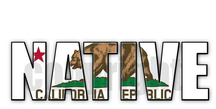 California Native Flag Stickers Flag Decals Vinyl Indoor Outdoor Stickers