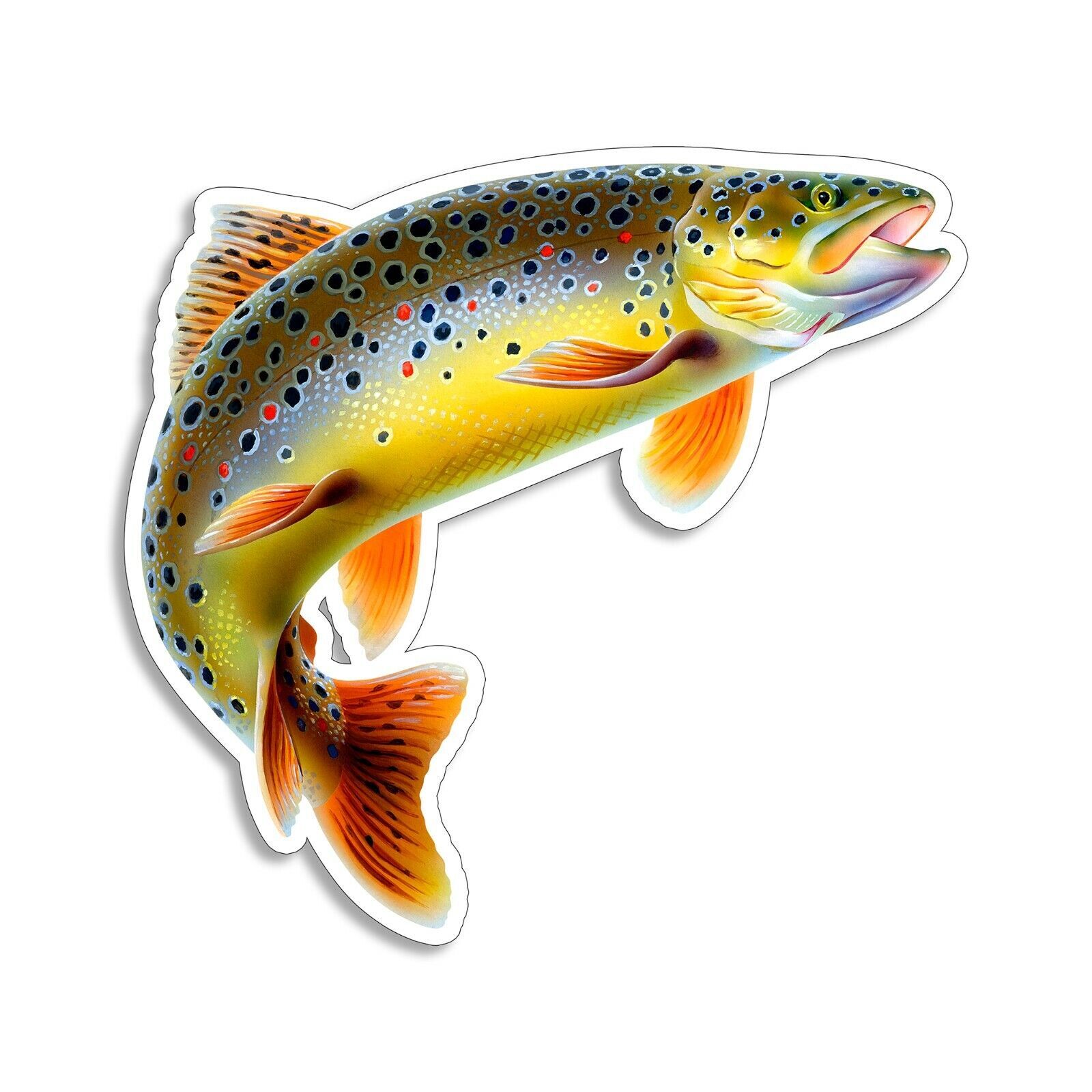Brown Trout Fish Sticker Decal
