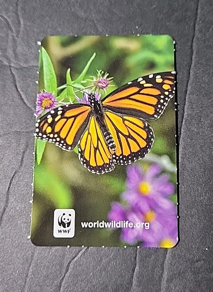 Butterfly Gratuity Calculator Tip Card For Wallet Table Chart Restaurant Server