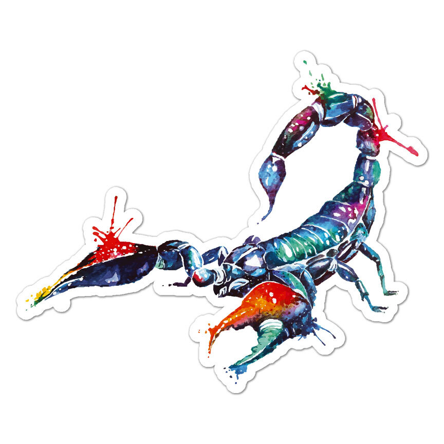 Watercolor Scorpion, Vinyl Decal Sticker, Indoor Outdoor, 3 Sizes, #8896