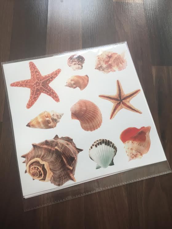 SEASHELLS Wall Stickers 40 Decals Scrapbook Car Truck Ocean Beach MADE IN USA!!!