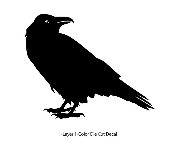 Wildlife – Birds – Staring Raven/Crow/Corvid – 6Yrs Outdoor Vinyl DieCut Sticker