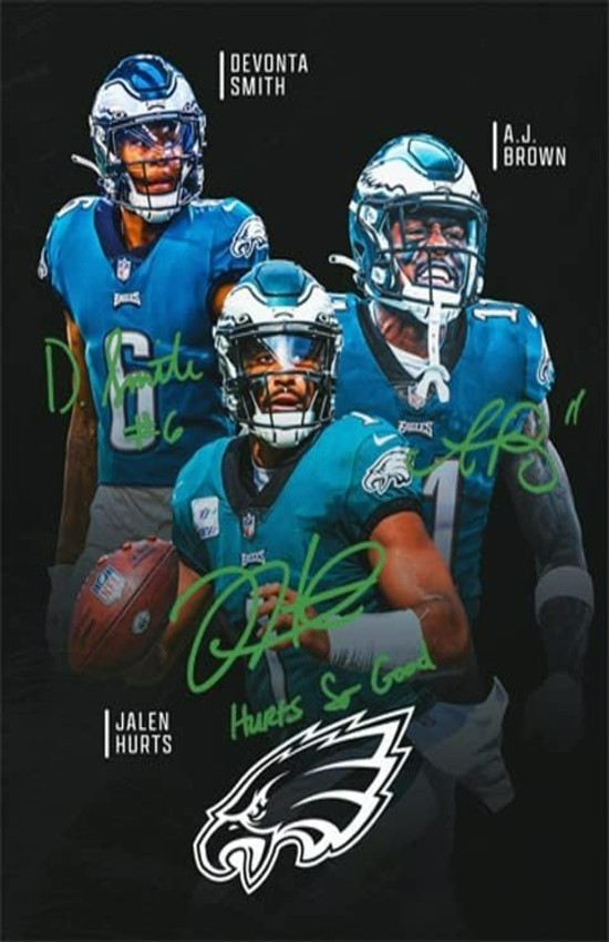EAGLES NFL Football Wall Vinyl Decal Poster Canvas Print Removable Adhesive