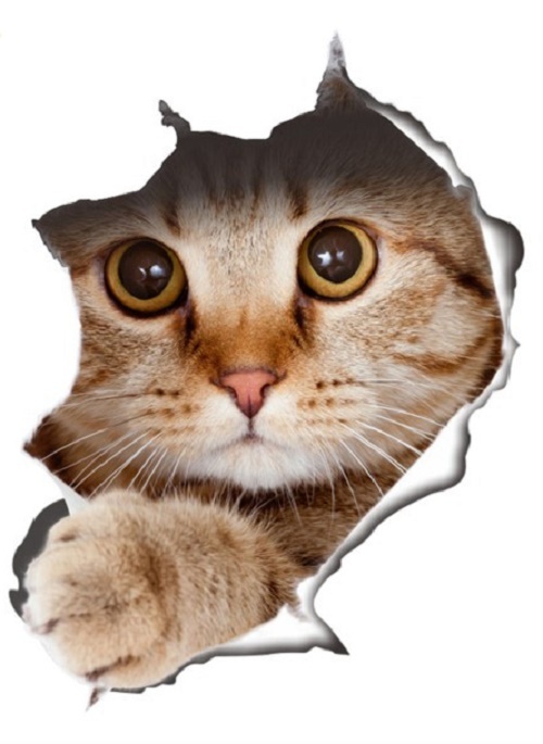 CAT IN A HOLE 3D Removable 10" x 7.5" Die-cut Wall / Refrigerator Decal (#14109)