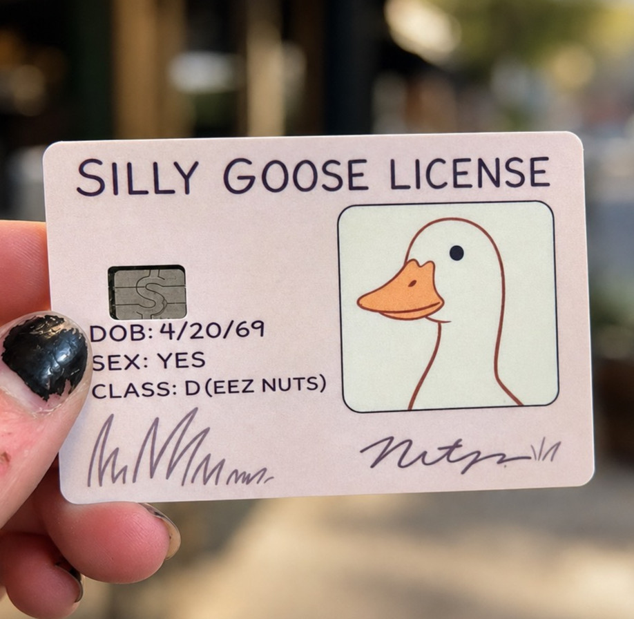 Silly Goose Credit Debit Card Skin Cover Sticker Chip Funny Decal – 2 Pack