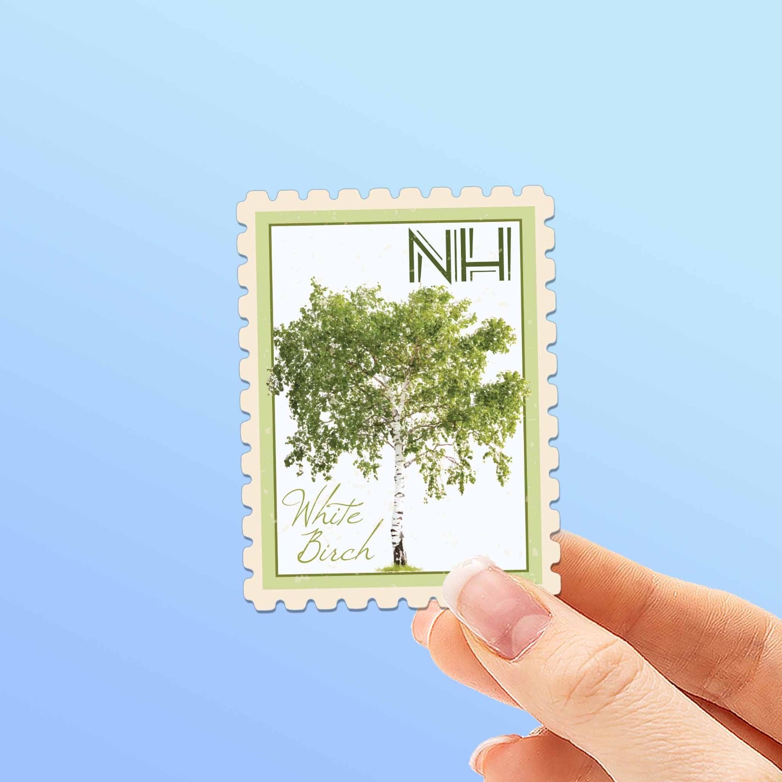 New Hampshire State Tree White Birch Sticker – NH Vintage Stamp Decal