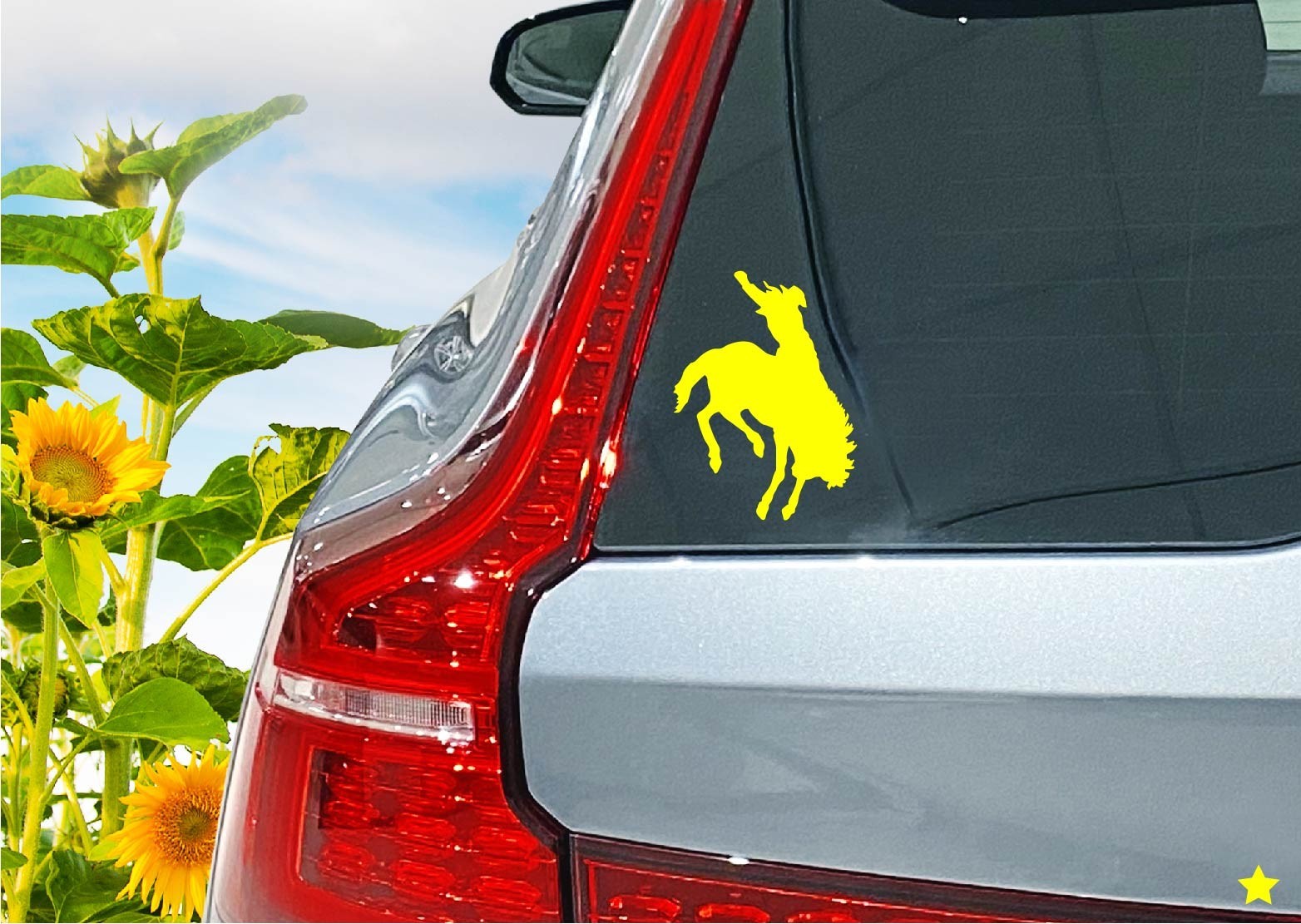 Rodeo Decal Horse Cowboy Bucking Bronco Riding Sticker Western Life Ranch Farm