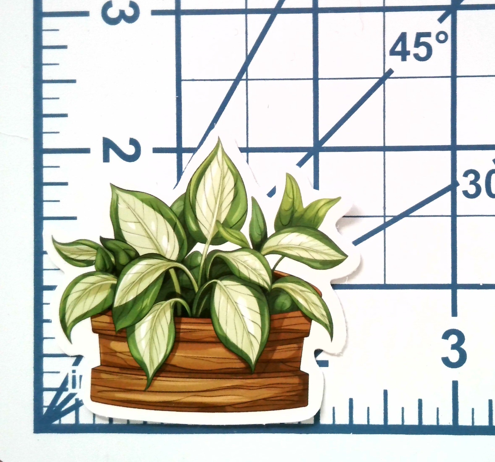 Variegated Hosta Vinyl Sticker Die Cut Houseplant Journal Laptop Planner Decor