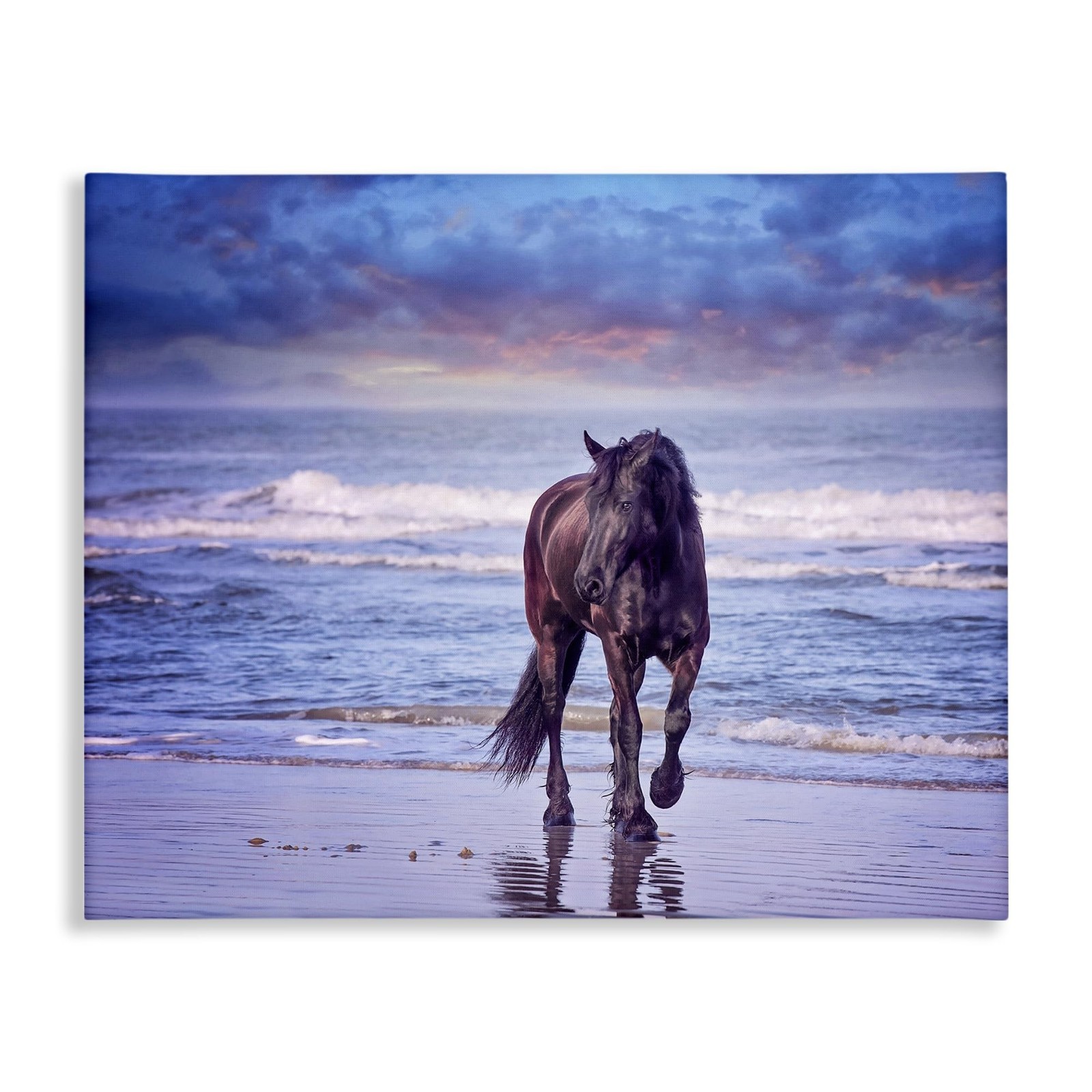 Stupell Industries Wild Horse on Beach Colorful Blue Sunset, Gallery Wrapped …