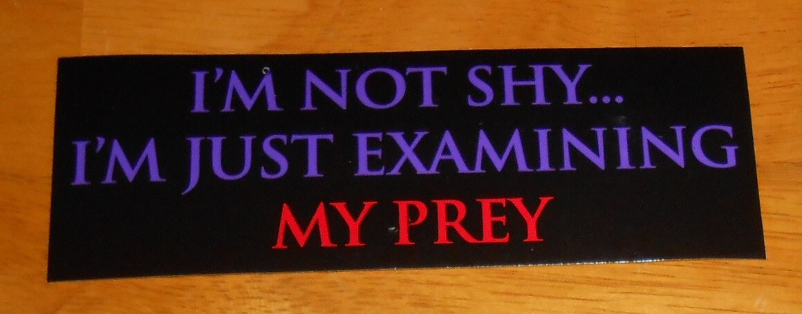 I’m Not Shy…I’m Just Examining My Prey Bumper Sticker Original 5×1.75