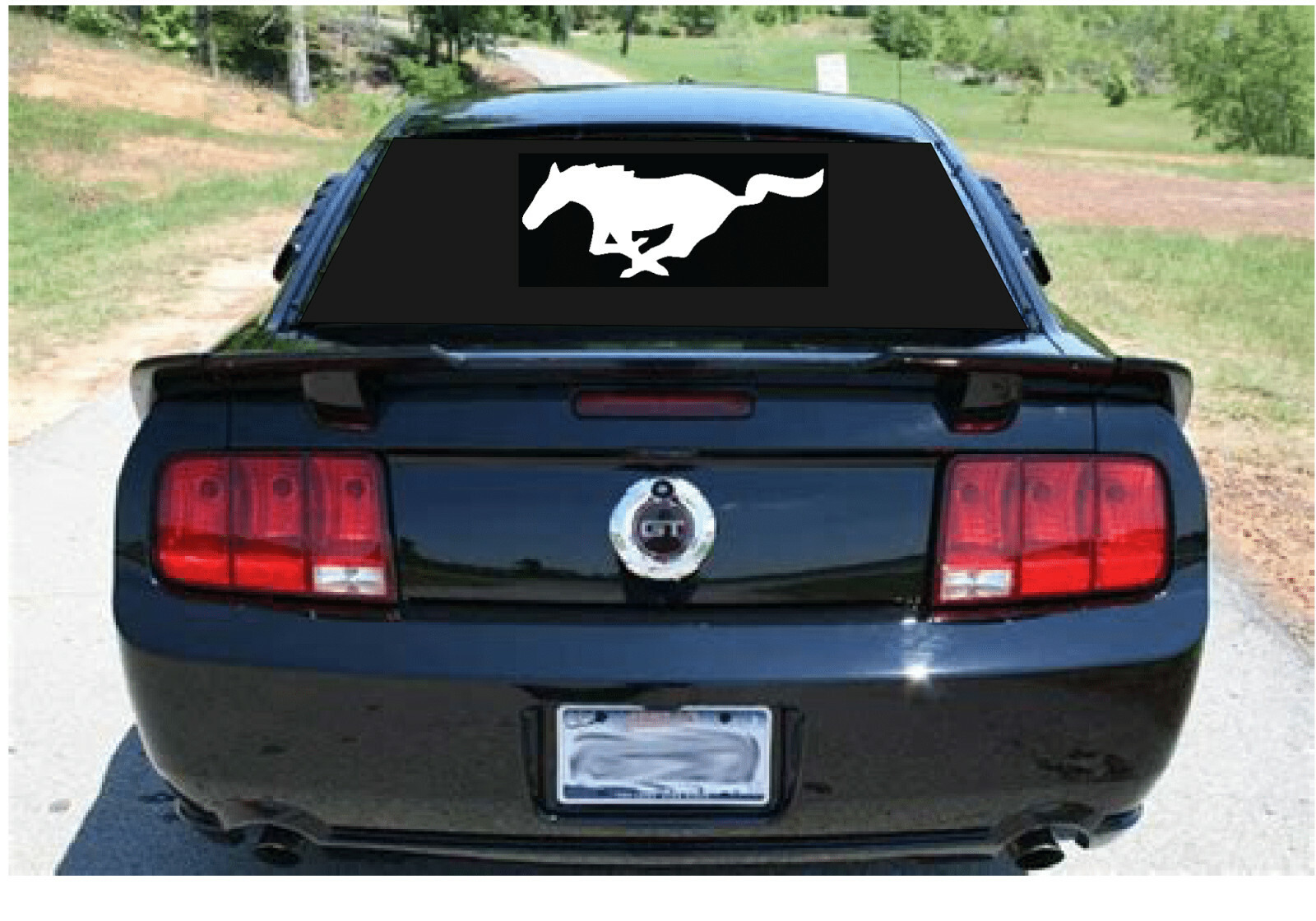Mustang Horse,34inx13in,window decal,decals stickers vinyl art