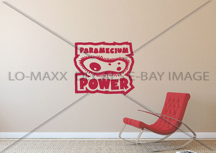 Paramecium Power One Celled Organism Art One Of A Kind Die-Cut Vinyl Decal